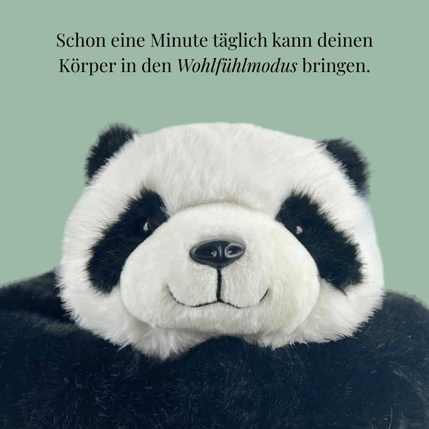 Pauli der Panda Gewichtetes Kuscheltier